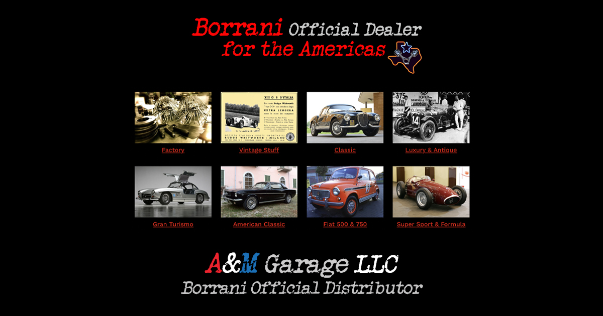borrani motorcycle rims