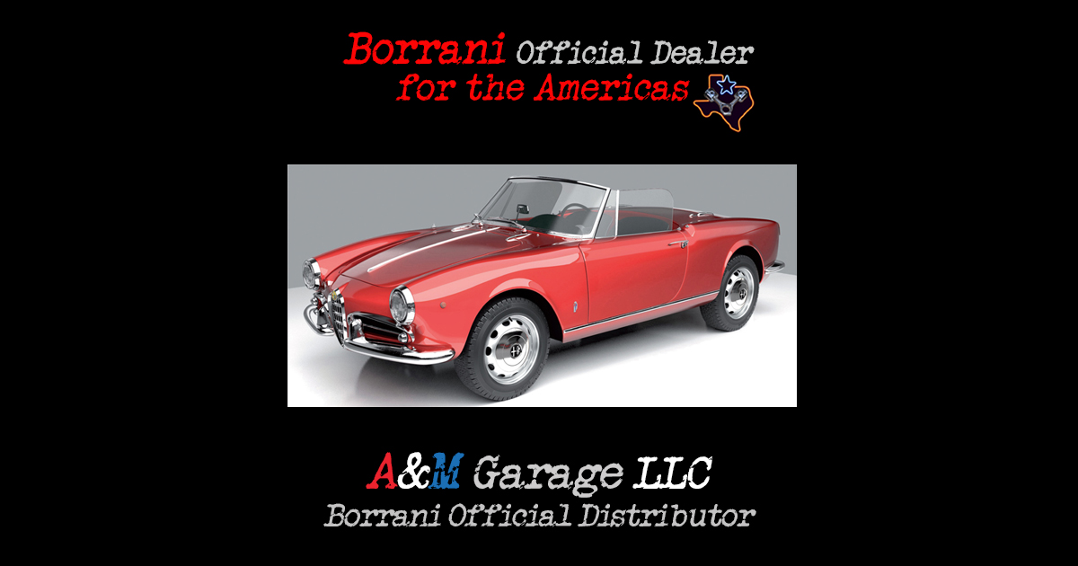 borrani motorcycle wheels